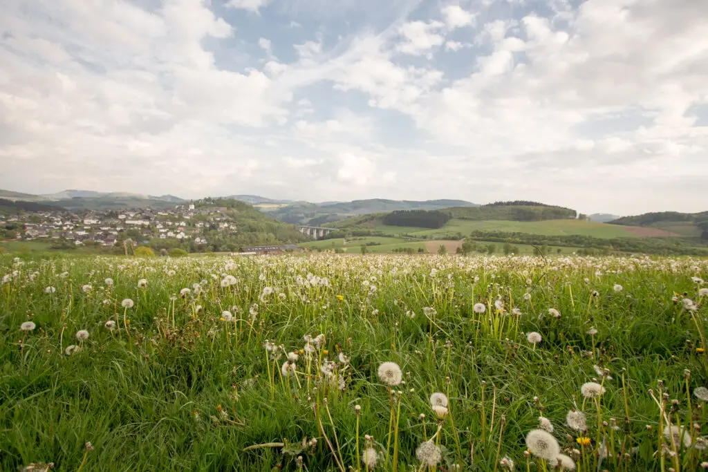 Eversberg (Wanderweg Meschede–Eversberg)