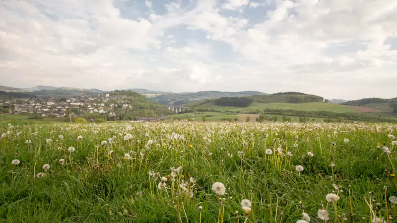 Eversberg (Wanderweg Meschede–Eversberg) - Eversberg 281411440809829