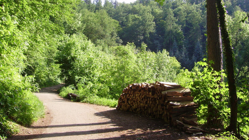 Exotenwald Weinheim