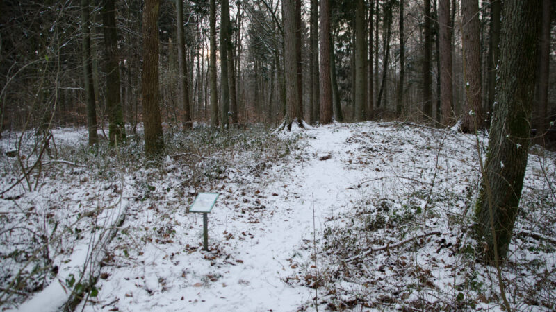 Hundewald Glücksburg