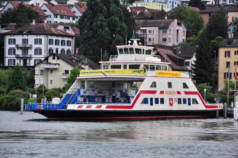 Blick auf Horgen