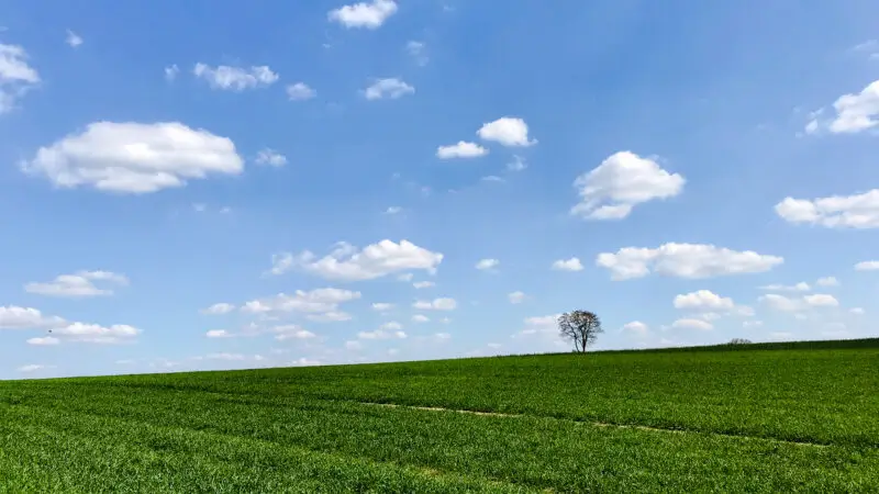 Afrasee Friedberg - Feld bei Friedberg 28Bayern29