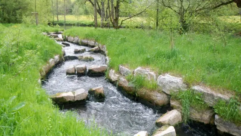 Naturschutzgebiet Neckarburg (Rottweil) - Fischpass am Neckarweg in Rottweil panoramio 28129