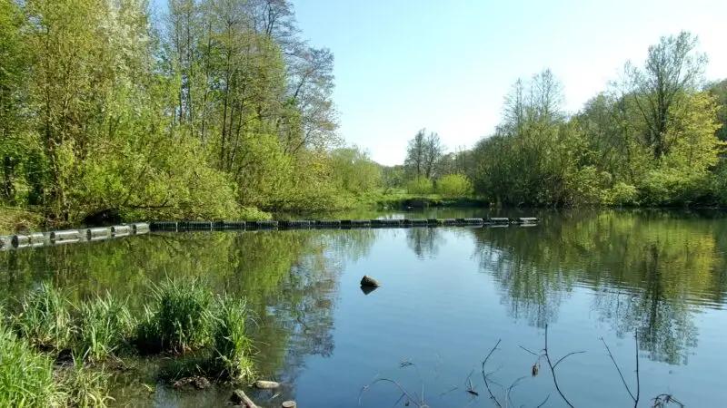 Jenischpark, Hamburg-Klein Flottbek - Flottbek gestaut im Jenischpark2C Hamburg2C LSG2C WDPA