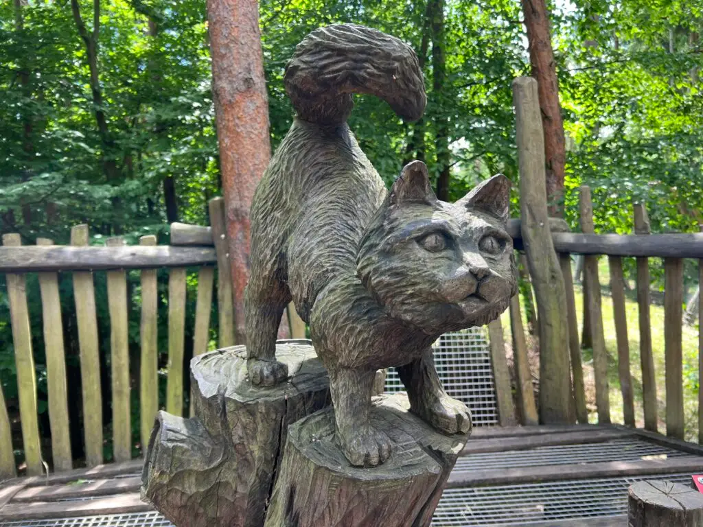 Wildpark-MV Güstrow