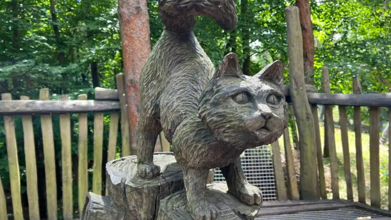Wildpark-MV Güstrow - GC3BCstrow Wildpark MV lub 2025 05 29 img20