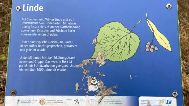 Dschungelpfad Lechauen Nord - GER Augsburg2C Firnhaberau2C Lechauen Nord2C Dschungelpfad 0004