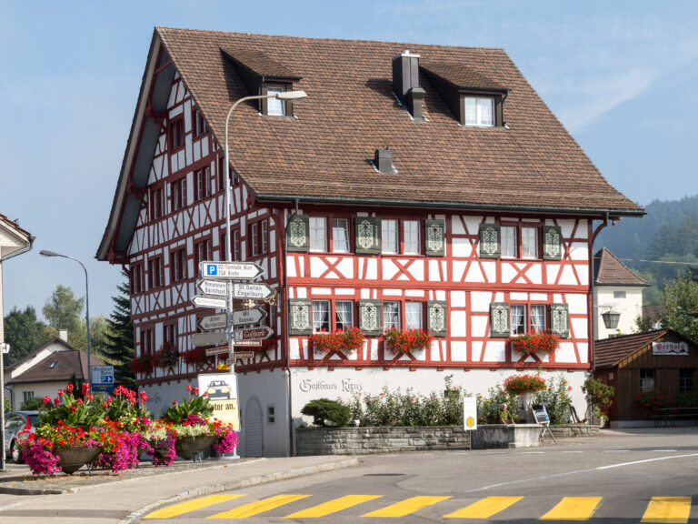 Blick auf Waldkirch