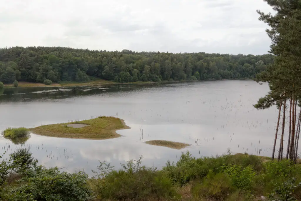 Naturschutzgebiet Gehspitzweiher