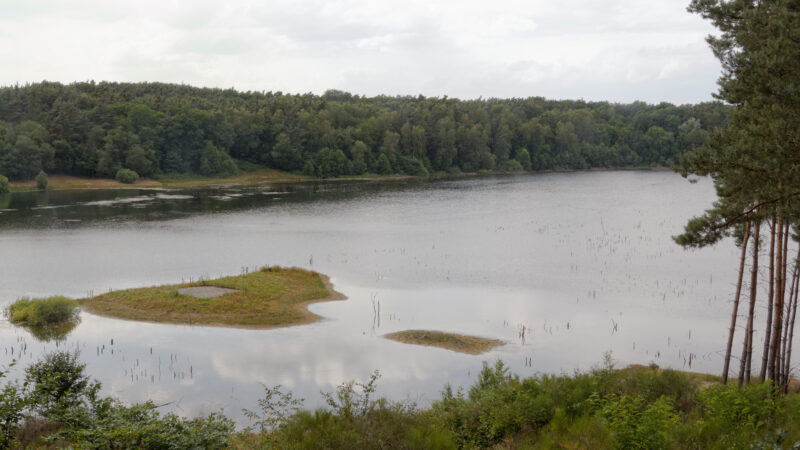 Naturschutzgebiet Gehspitzweiher - Gehspitzweiher 1