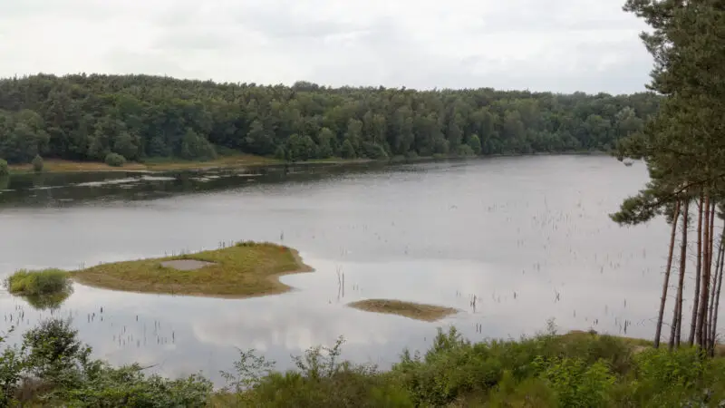 Naturschutzgebiet Gehspitzweiher - Gehspitzweiher 1