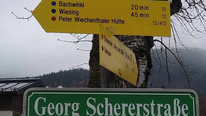 Hundewiese Saalfelden