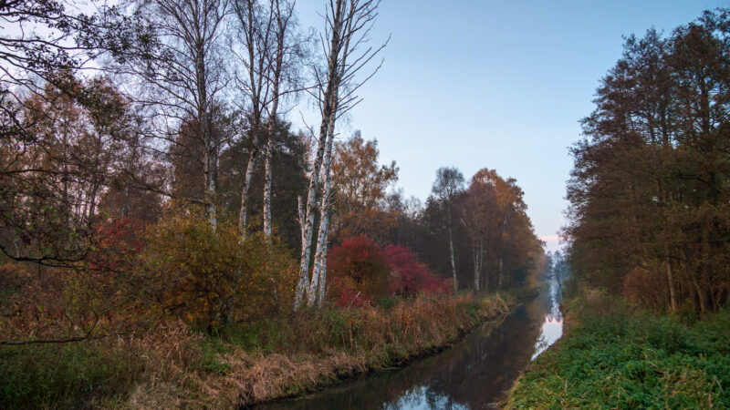 Naturpark Flusslandschaft Peenetal - Germany Mecklenburg Vorpommern Naturpark Flusslandschaft Peenetal Kuckkucksgraben 2015