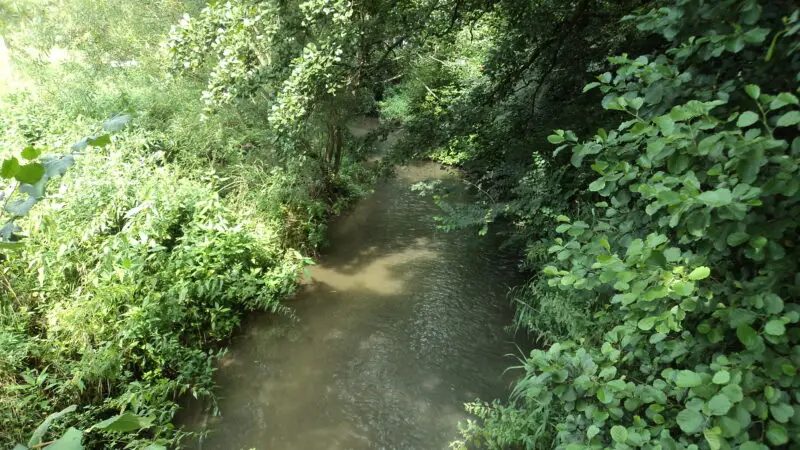 Schleiferholz (Stadtwald Pfaffenhofen) - Gerolsbach bei Pfaffenhofen