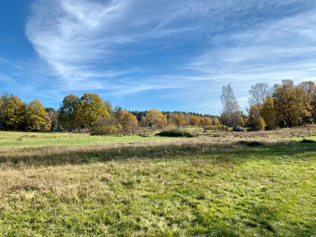 Naturpark Blockheide Gmünd-Eibenstein