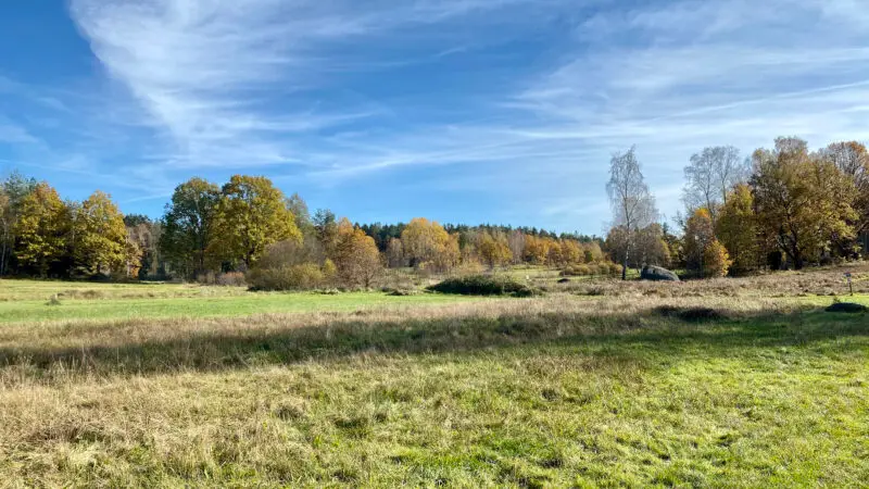 Naturpark Blockheide Gmünd-Eibenstein - GmC3BCnd Blockheide 04
