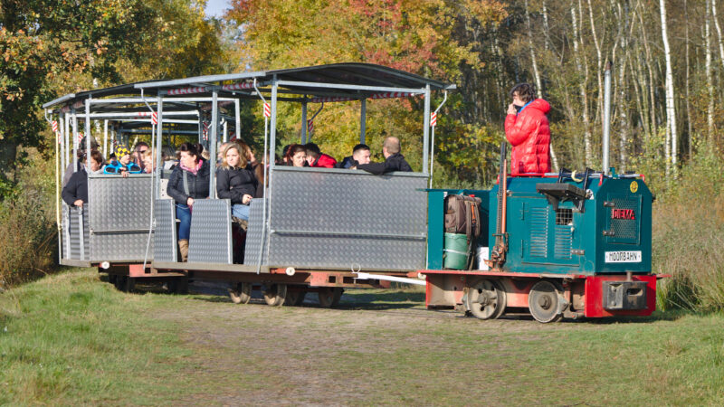 Goldenstedter Moor (mit Moorbahn)