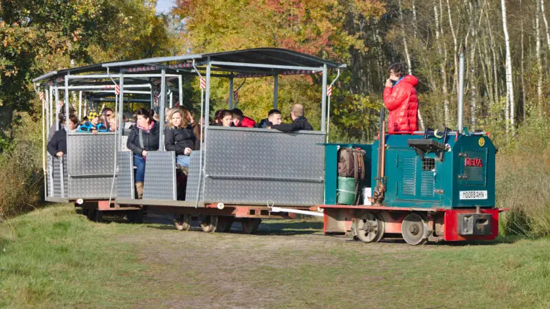 Goldenstedter Moor (mit Moorbahn) - GroC39Fes Moor Ausflug mit Moorbahn