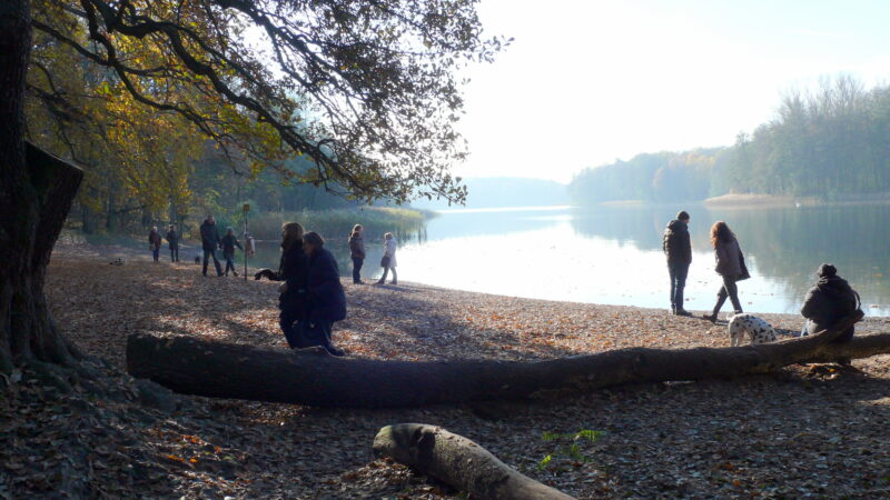 Hundeauslaufgebiet Grunewaldsee (Grunewald)