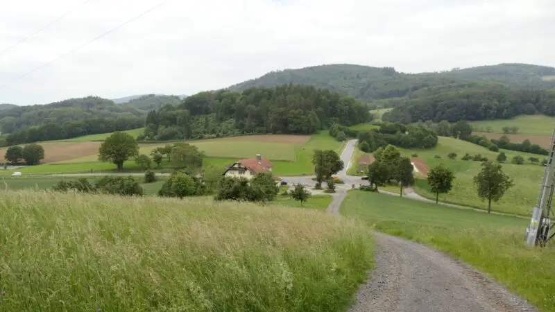 Nibelungensteig - Gumpener Kreuz vom Nibelungensteig 2024