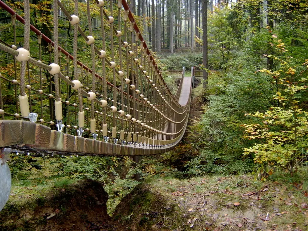 Erlebnispfad Binger Wald