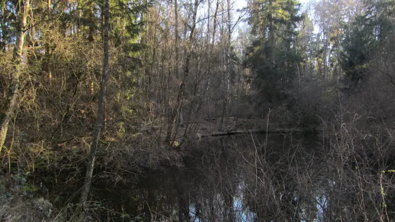 Naturschutzgebiet Bergwerkswald (Gießen) - HC3BCgel Schneise2C 52C Leihgestern2C Linden2C Landkreis GieC39Fen