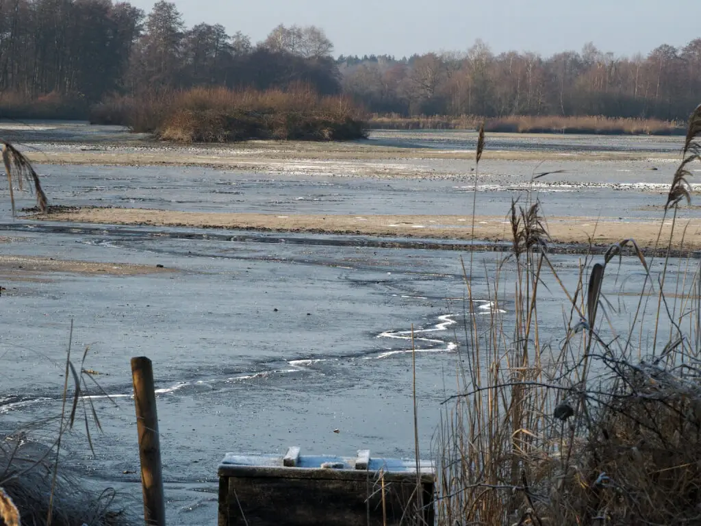 Naturschutzgebiet Meissendorfer Teiche / Hüttensee