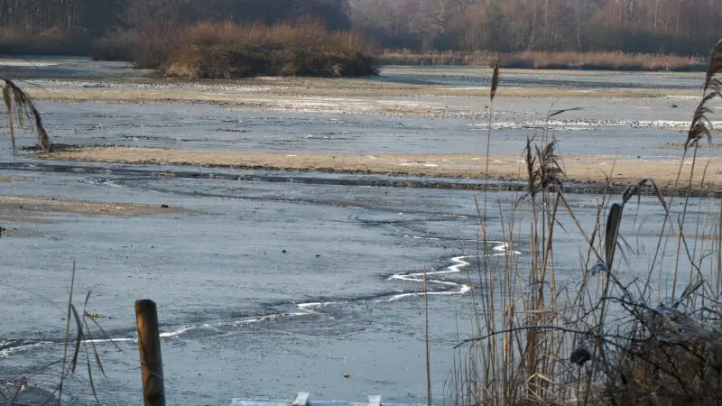 Naturschutzgebiet Meißendorfer Teiche / Hüttensee - HC3BCttensee Winter40MeiC39Fendorfer Teiche 28129