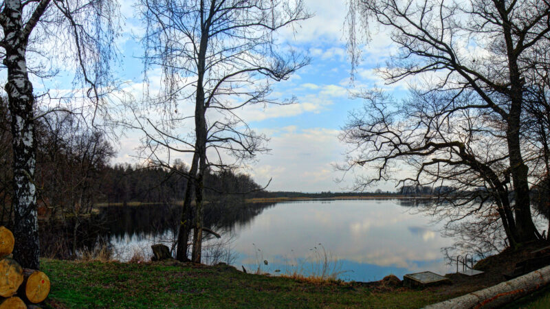 Blitzenreuter Seenplatte (Schreckensee & Häcklerweiher)