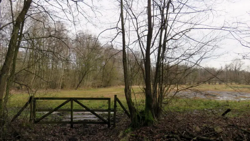 Naturschutzgebiet Heidkoppelmoor (Wanderstrecke 19) - Heidkoppelmoor NSG Schleswig Holstein MeadowEnclave