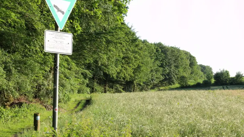Naturschutzgebiet Langeloh (Naturpfad Langeloh) - Herne Langeloh 04