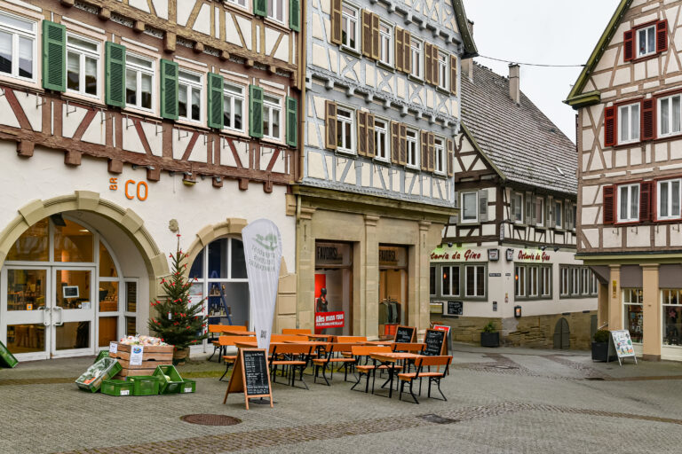 Blick auf Herrenberg