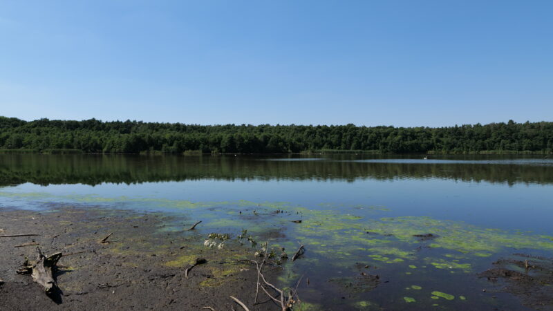 Herrensee, Strausberg - Herrensee Strausberg 2020 08 05 01