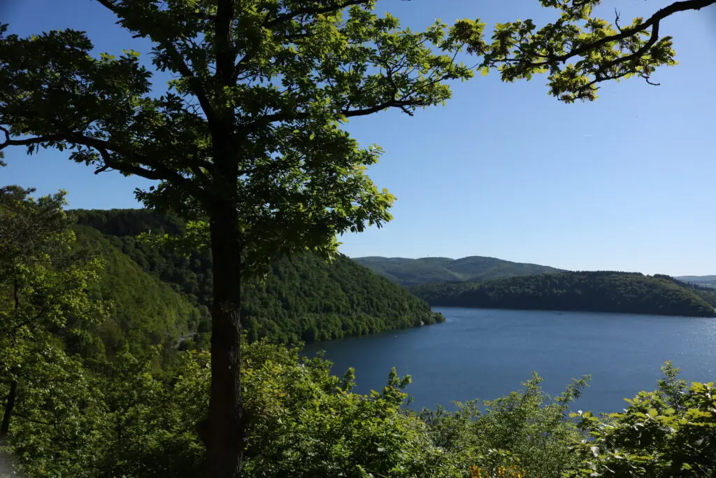 Urwaldsteig am Edersee (Nationalpark Kellerwald-Edersee)