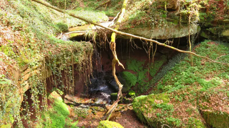 Hexenklamm bei Gersbach (Pirmasens) - Hexenklamm bei Pirmasens
