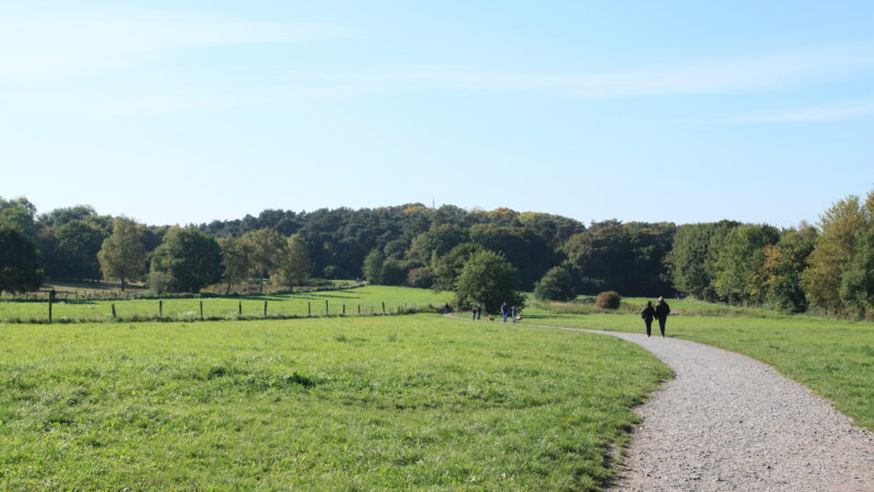 Hundewiese Jaberg - Hilden Hildener Heide Hundewiese 2B Jaberg 01 ies