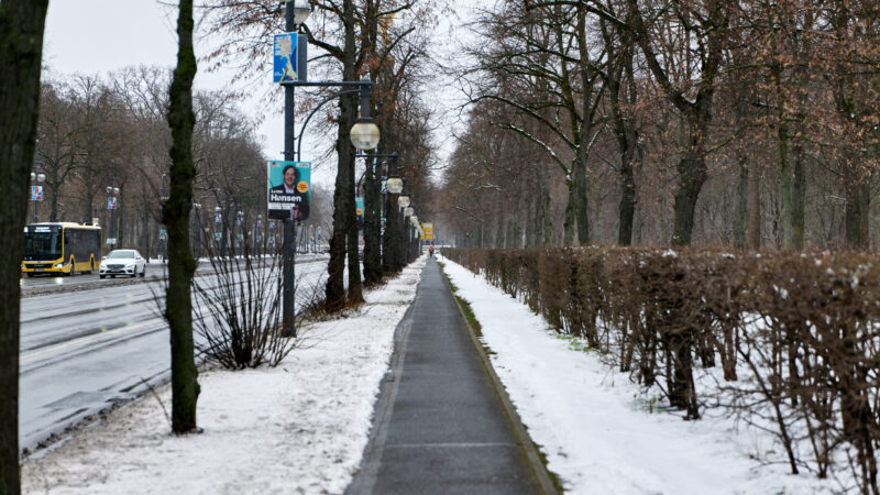 Großer Tiergarten - HofjC3A4gerallee GroC39Fer Tiergarten Berlin with snow 2025 02 14 01