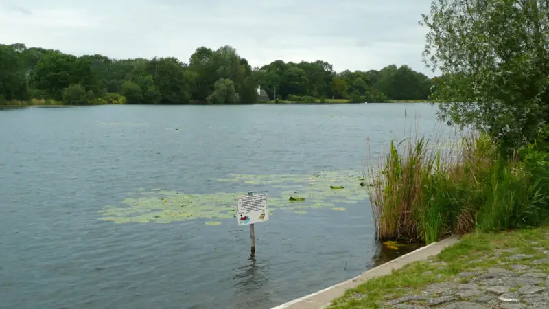 Hohnsensee - Hohnsensee Hildesheim