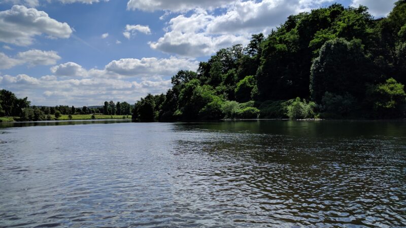 Hundewiese Hattingen / Ruhrufer