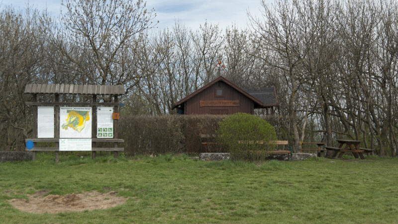 Hundsheimer Berg - Hundsheimer Berg 0295