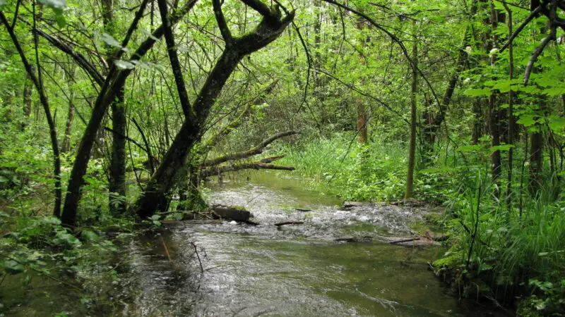Blomberg (Wanderberg und Wanderwegenetz) - Isarzufluss b Wackersberg GO 1