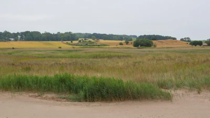 Naturschutzgebiet Riedensee - Kaegsdorf Naturschutzgebiet Riedensee 01