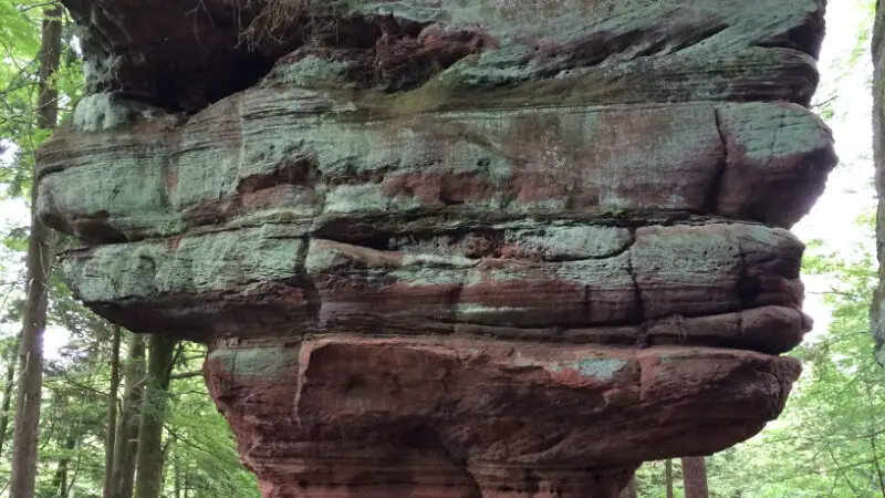 Felsenwald-Premiumwanderweg Pirmasens - Kanzelfels Pirmasens