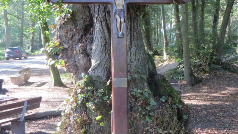 Eyller See (Kerken) - Kerken Jagdhausweg Paulsen Kreuz