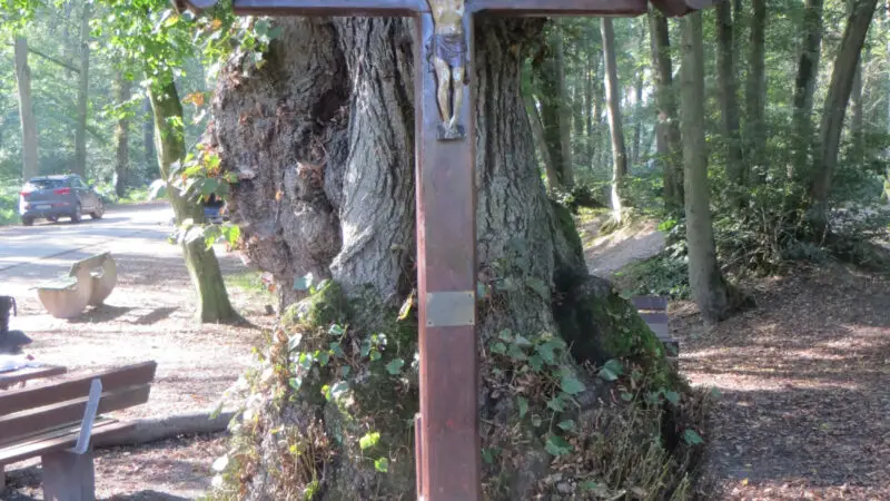 Eyller See (Kerken) - Kerken Jagdhausweg Paulsen Kreuz