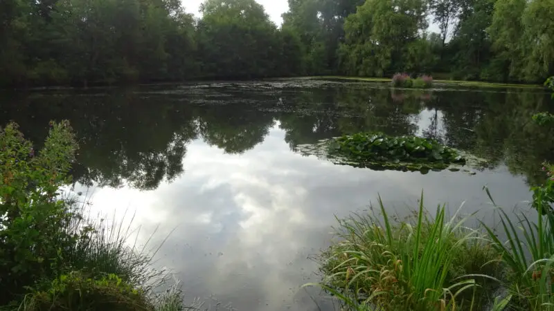 Kollauteich & Schnelsener Feldmark - Kollauteich in der Schnelsener Feldmark