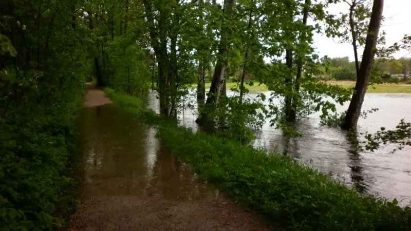Kollauwanderweg - Kollauwanderweg bei Hochwasser