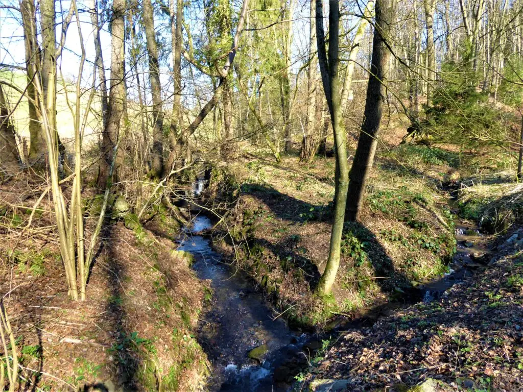 Naturschutzgebiet Kupfersiefer Tal