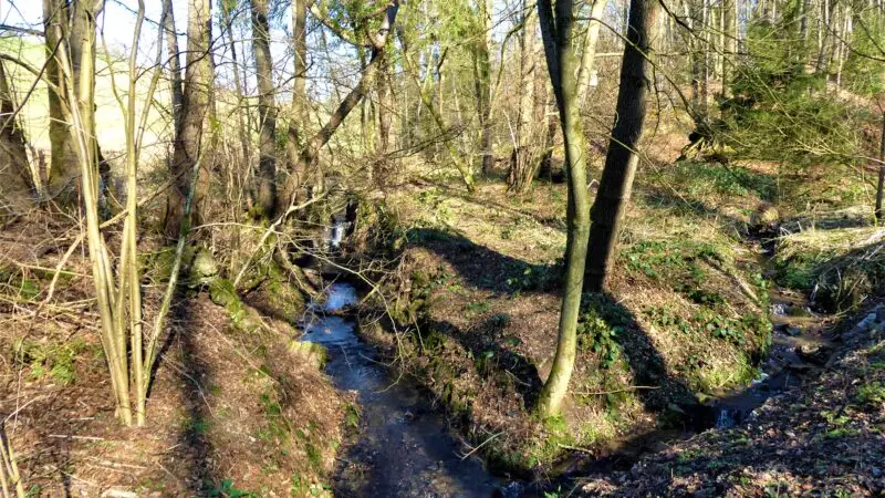 Naturschutzgebiet Kupfersiefer Tal - Kupfersiefer Bach nahe der Kupfersiefer MC3BChle