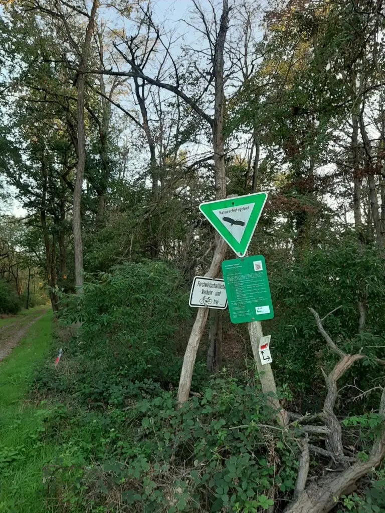 Braunshardter Tännchen bei Weiterstadt